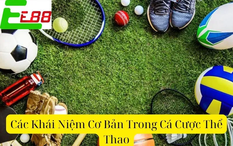 Các Khái Niệm Cơ Bản Trong Cá Cược Thể Thao