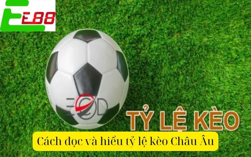 Cách đọc và hiểu tỷ lệ kèo Châu Âu